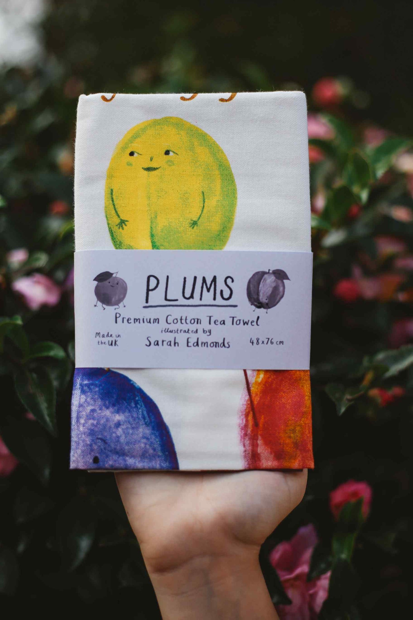 Hand Drawn Illustrated Tea Towels