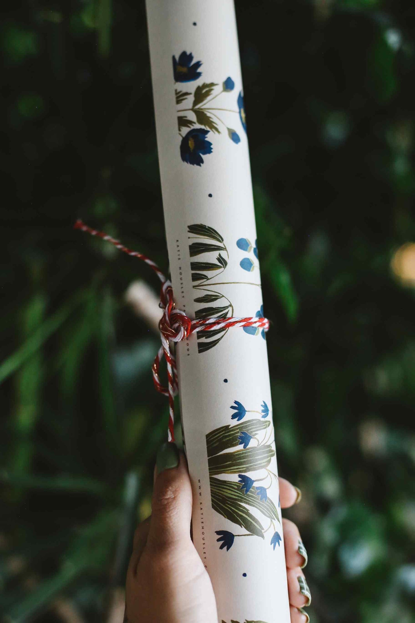 Rolled-up paper with floral patterns held against a green leafy background